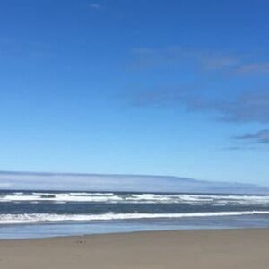 Meet your Posher, Wave